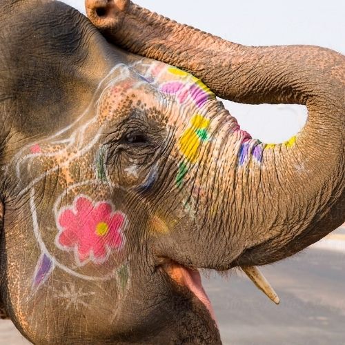 Viaggio-Delhi-Agra-Jaipur-Mese-Agosto-2026-05-Notti-06-Giorni