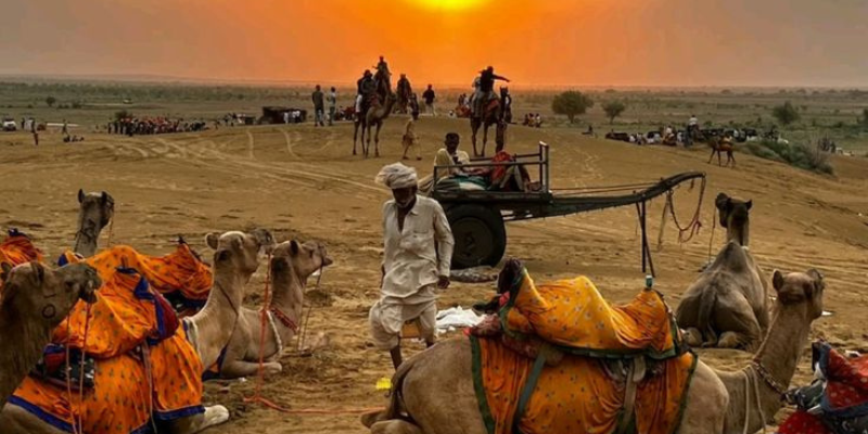 La-Fiera-di-Pushkar-09-Notti-10-Giorni-17-24-Nov-2026